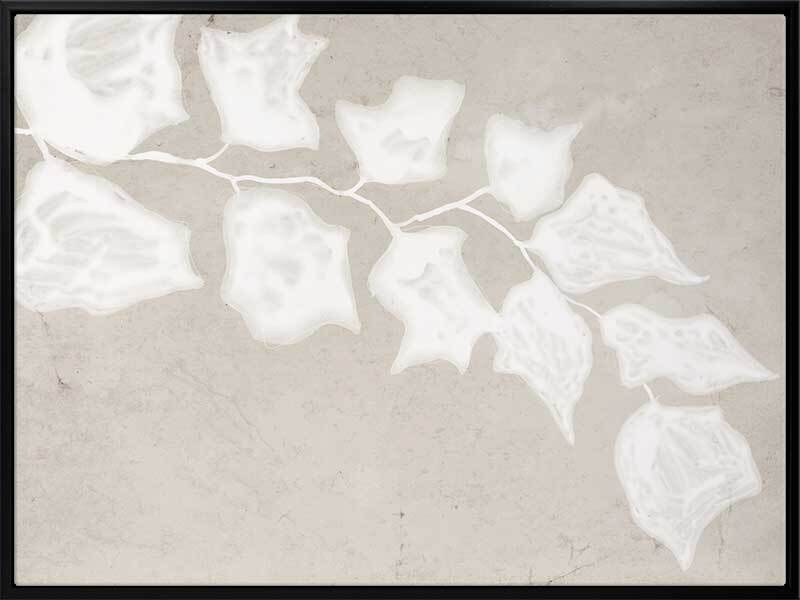 Paper Bark III Canvas Art Print