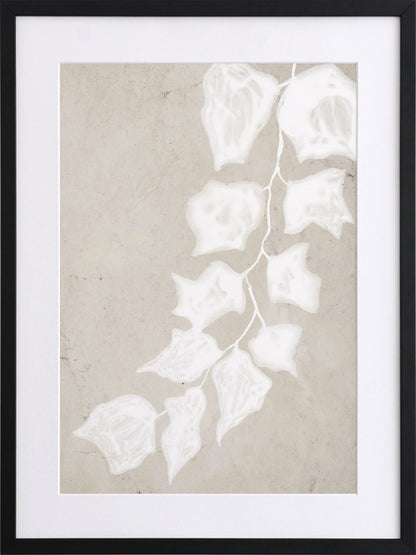 Paper Bark III Framed Art Print