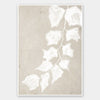 Paper Bark III Unframed Art Print