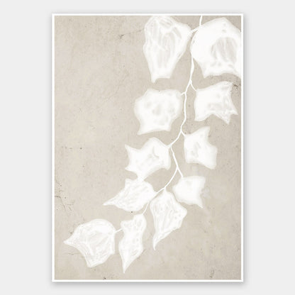 Paper Bark III Unframed Art Print