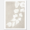Paper Bark III Unframed Art Print