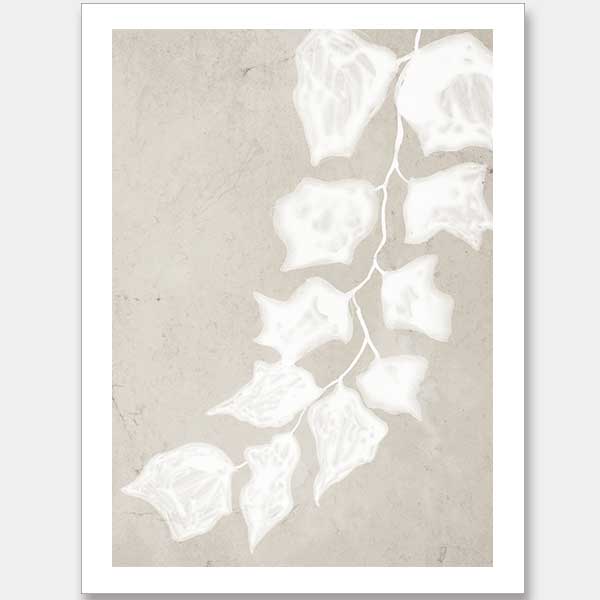 Paper Bark III Unframed Art Print