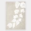 Paper Bark III Unframed Art Print