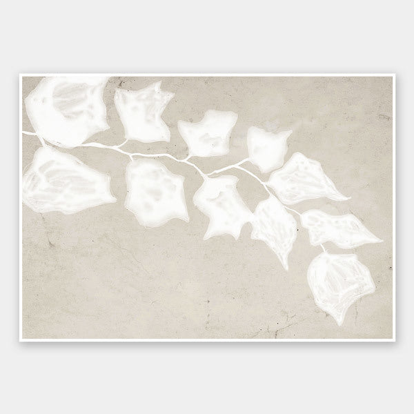 Paper Bark III Unframed Art Print