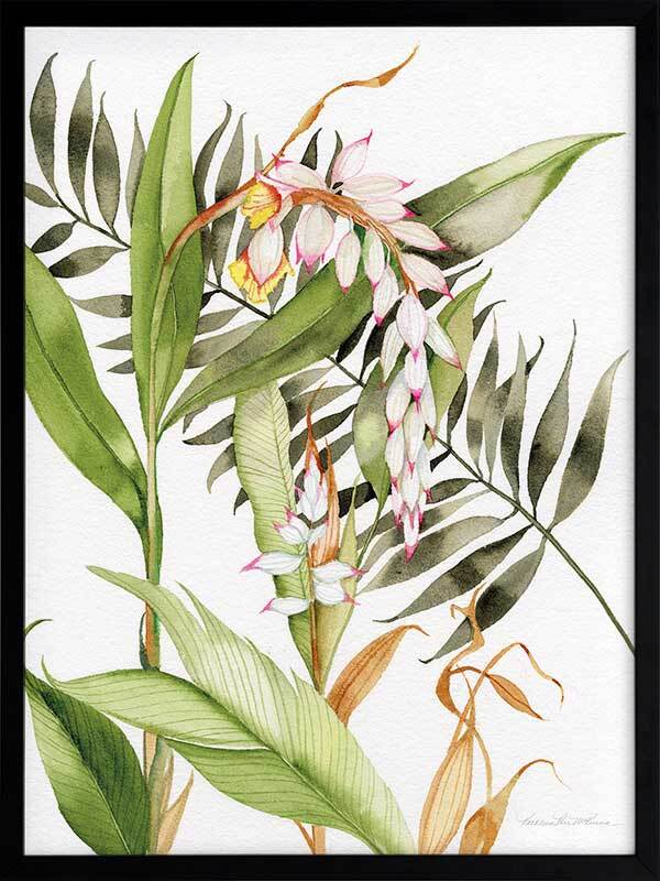 Orcahdia I Framed Art Print