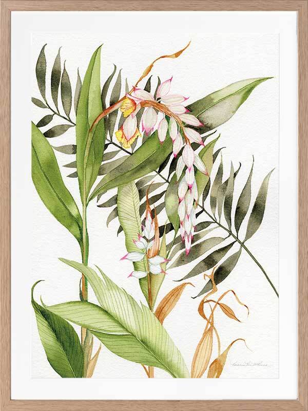 Orcahdia I Framed Art Print