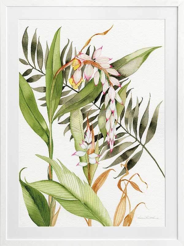 Orcahdia I Framed Art Print