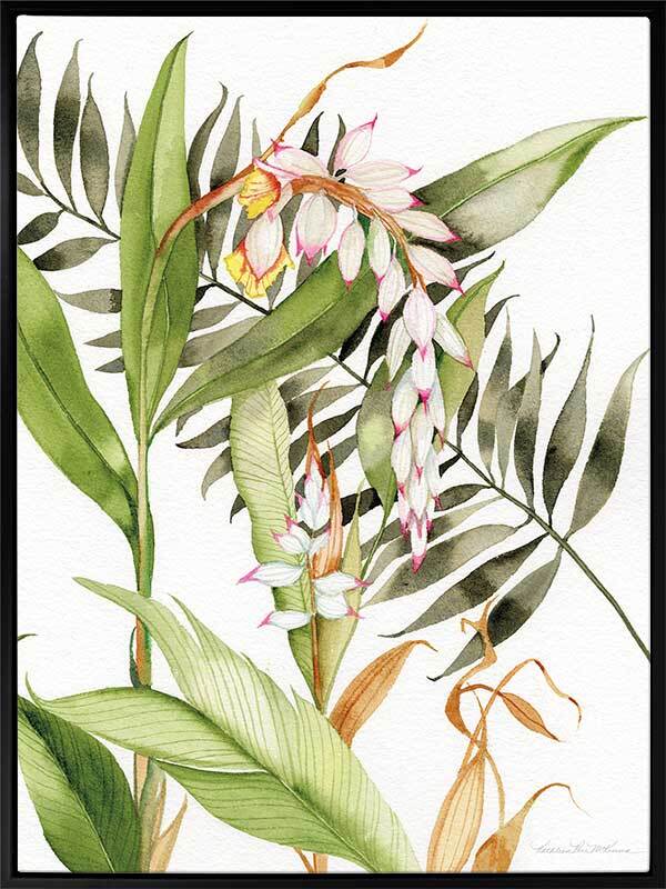 Orcahdia I Canvas Art Print