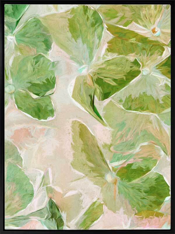 Oakleaf II Canvas Art Print