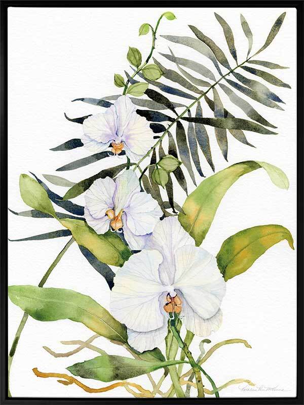 Orcahdia II Canvas Art Print