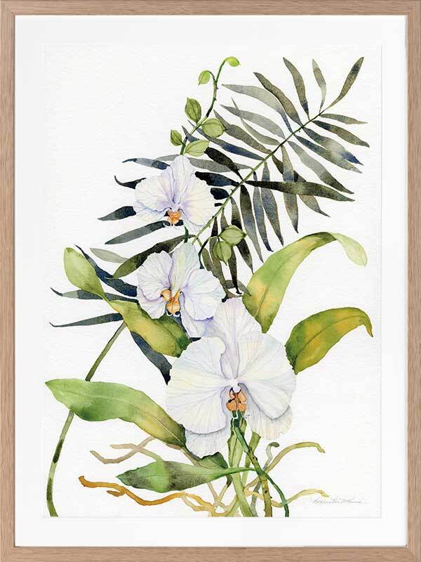 Orcahdia II Framed Art Print