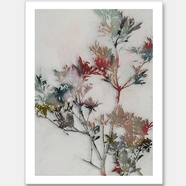 Winter Posy II Unframed Art Print