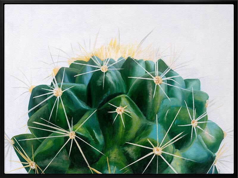 Cacti Canvas Art Print