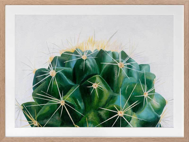 Cacti Framed Art Print