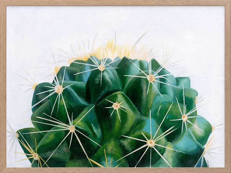 Cacti Framed Art Print