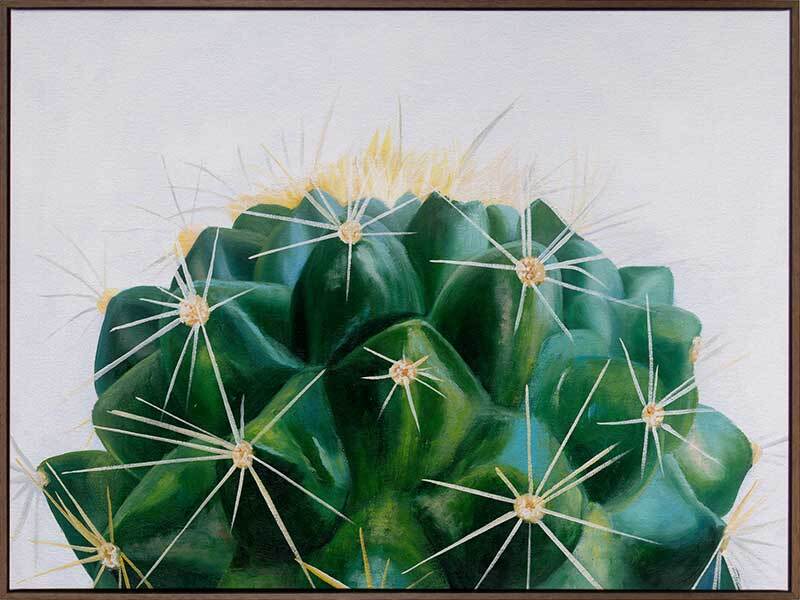 Cacti Canvas Art Print