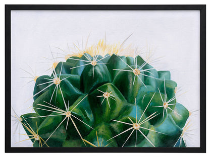 Cacti Framed Art Print