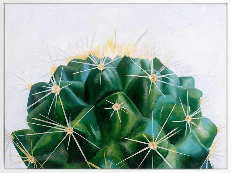 Cacti Canvas Art Print