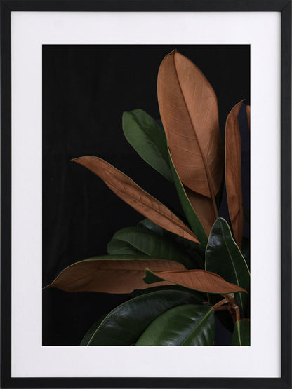 New Leaf Framed Art Print