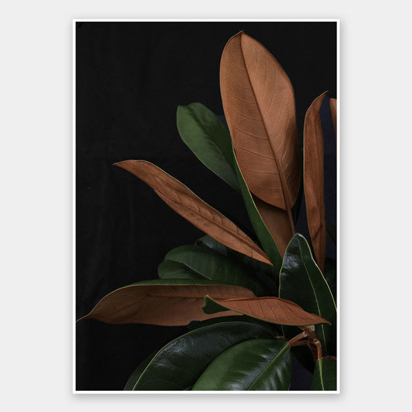 New Leaf Unframed Art Print