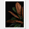 New Leaf Unframed Art Print