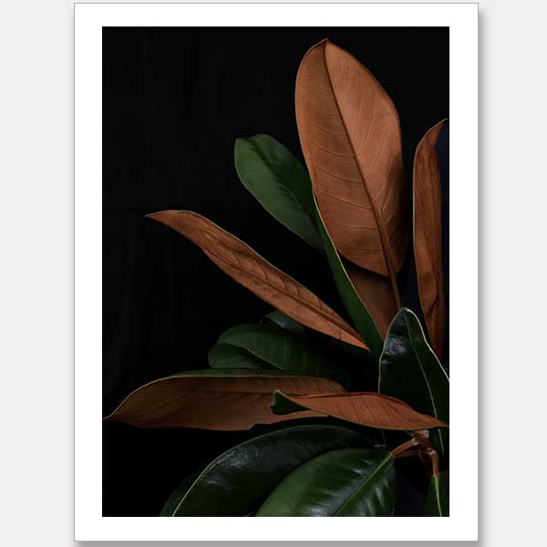 New Leaf Unframed Art Print