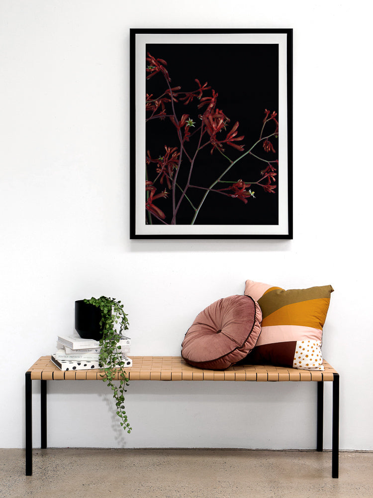 Bounce Framed Art Print | Lifestyle