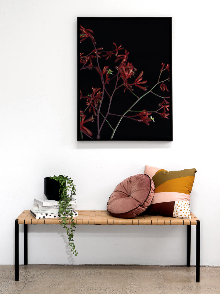 Bounce Canvas Art Print | Lifestyle