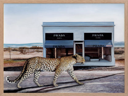 Catwalk Framed Art Print