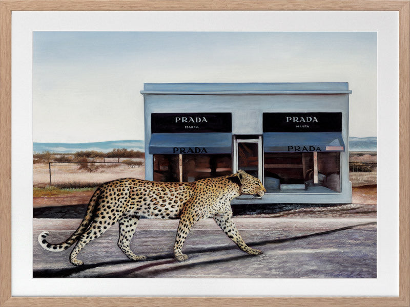 Catwalk Framed Art Print