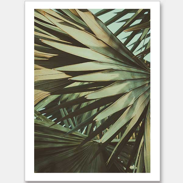 Golden Fan II Unframed Art Print