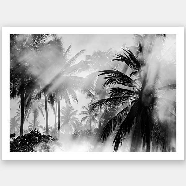 Throw Shade Unframed Art Print