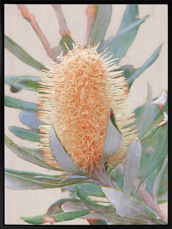 Golden Banksia Canvas Art Print