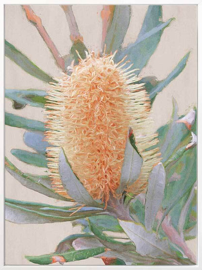 Golden Banksia Canvas Art Print