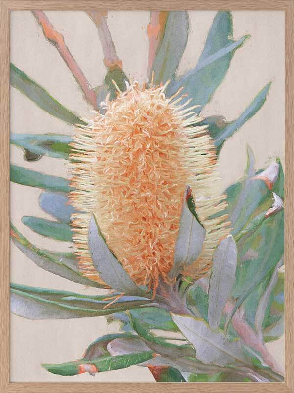 Golden Banksia Canvas Art Print