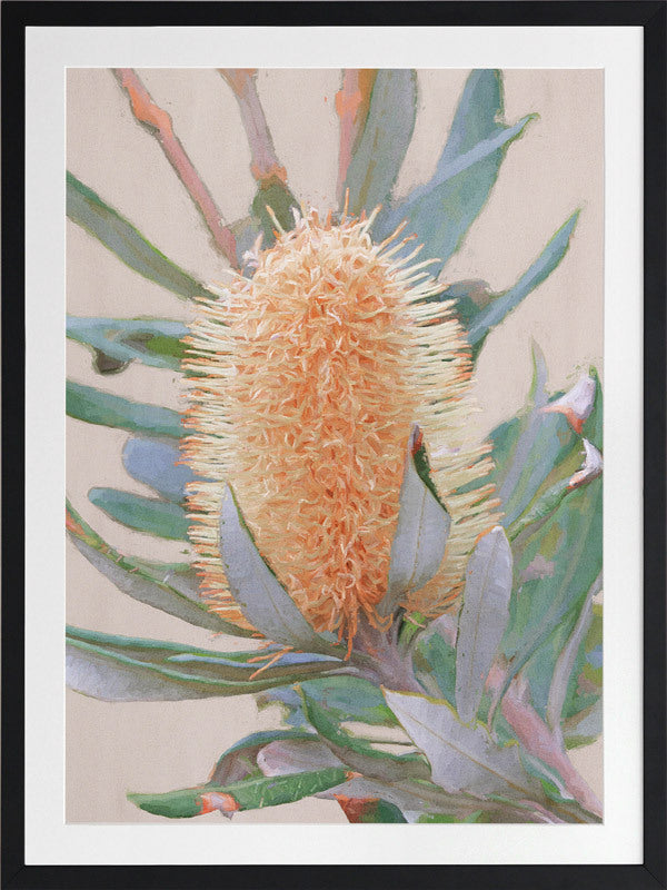 Golden Banksia Framed Art Print