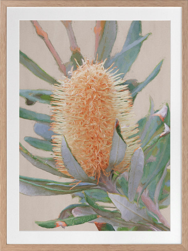 Golden Banksia Framed Art Print