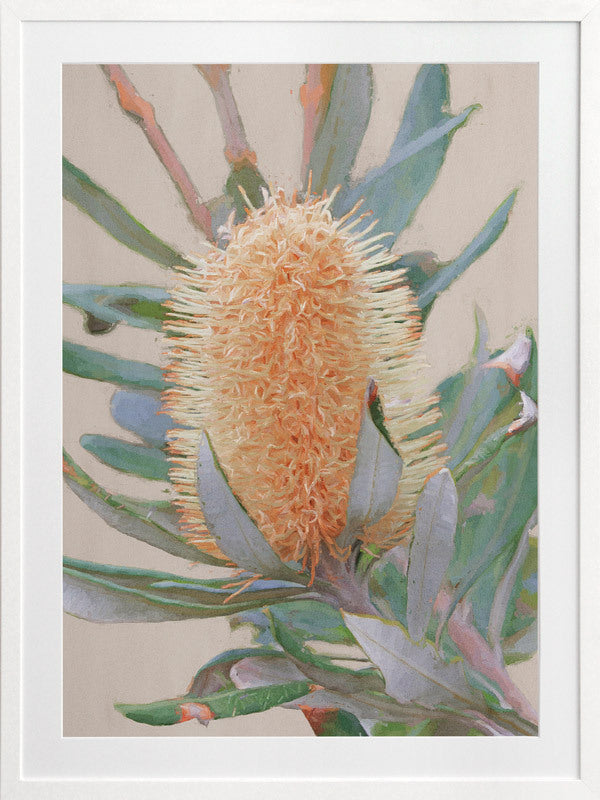 Golden Banksia Framed Art Print