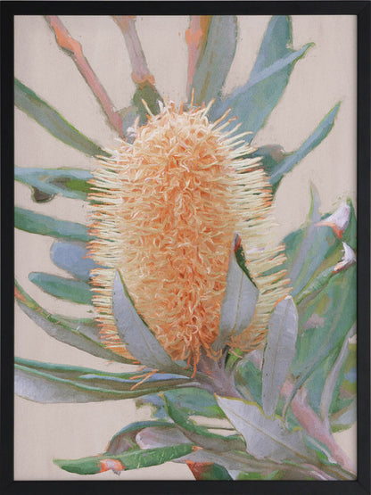 Golden Banksia Framed Art Print