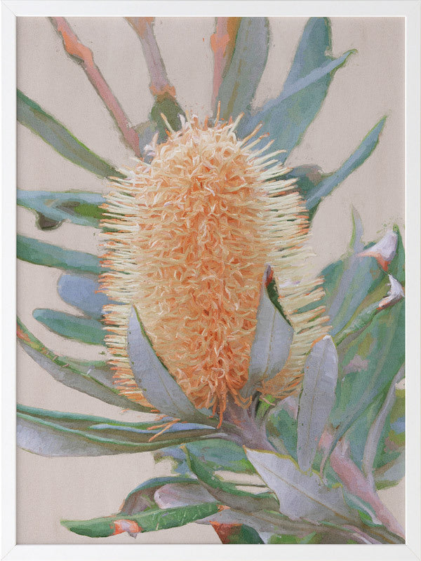 Golden Banksia Framed Art Print