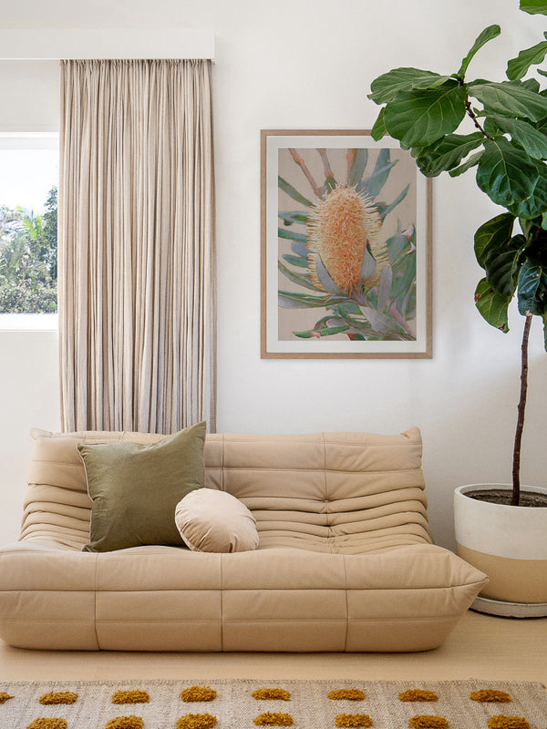 Golden Banksia Framed Art Print | Lifestyle