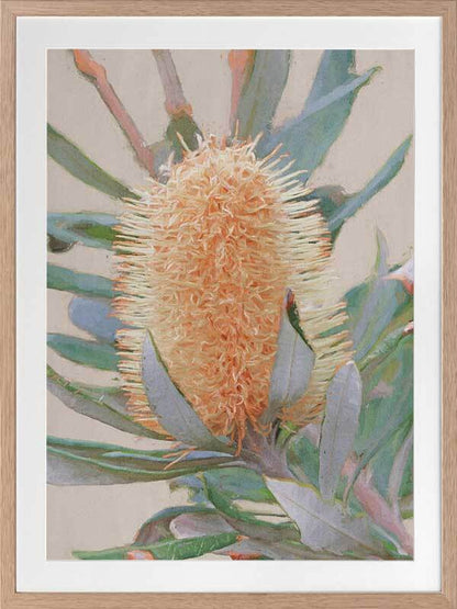 Golden Banksia Framed Art Print