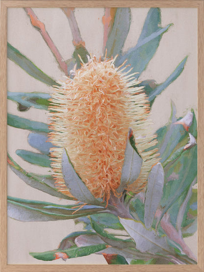 Golden Banksia Framed Art Print