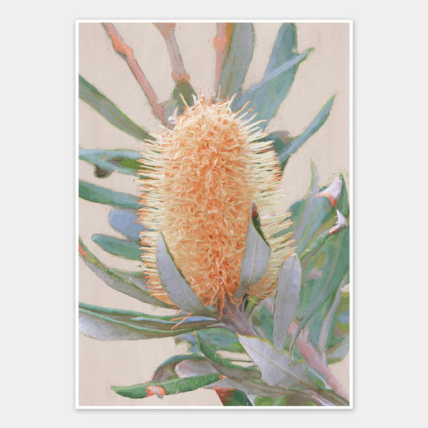 Golden Banksia Unframed Art Print