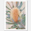 Golden Banksia Unframed Art Print