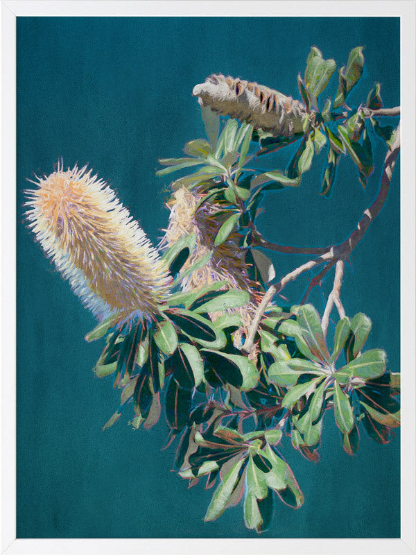 Twilight Banksia Framed Art Print