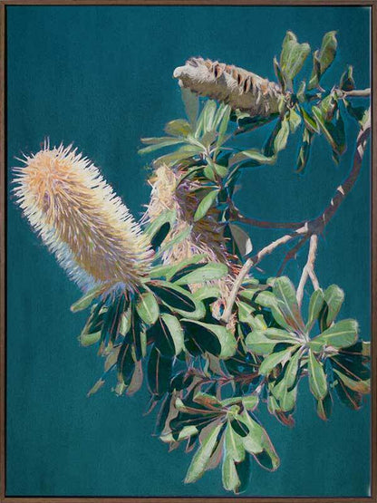 Twilight Banksia Canvas Art Print