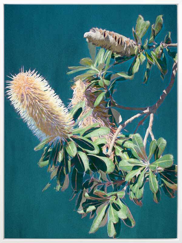 Twilight Banksia Canvas Art Print