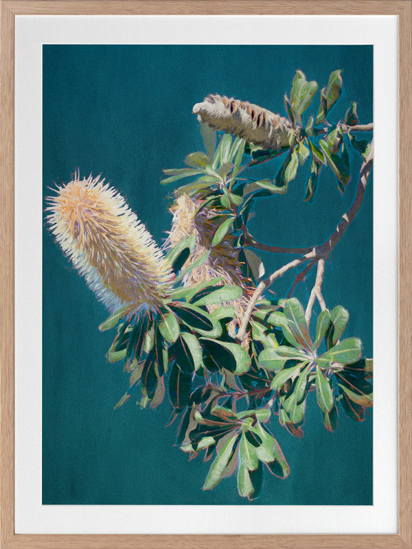 Twilight Banksia Framed Art Print