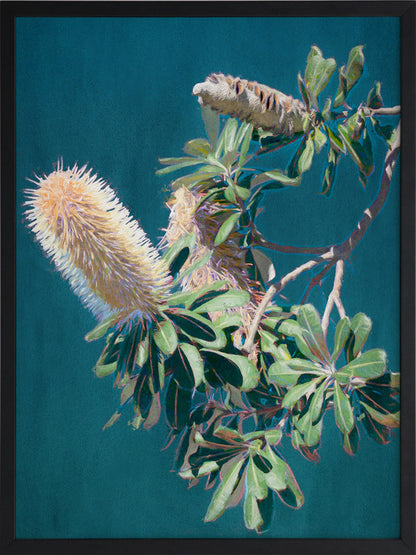 Twilight Banksia Framed Art Print